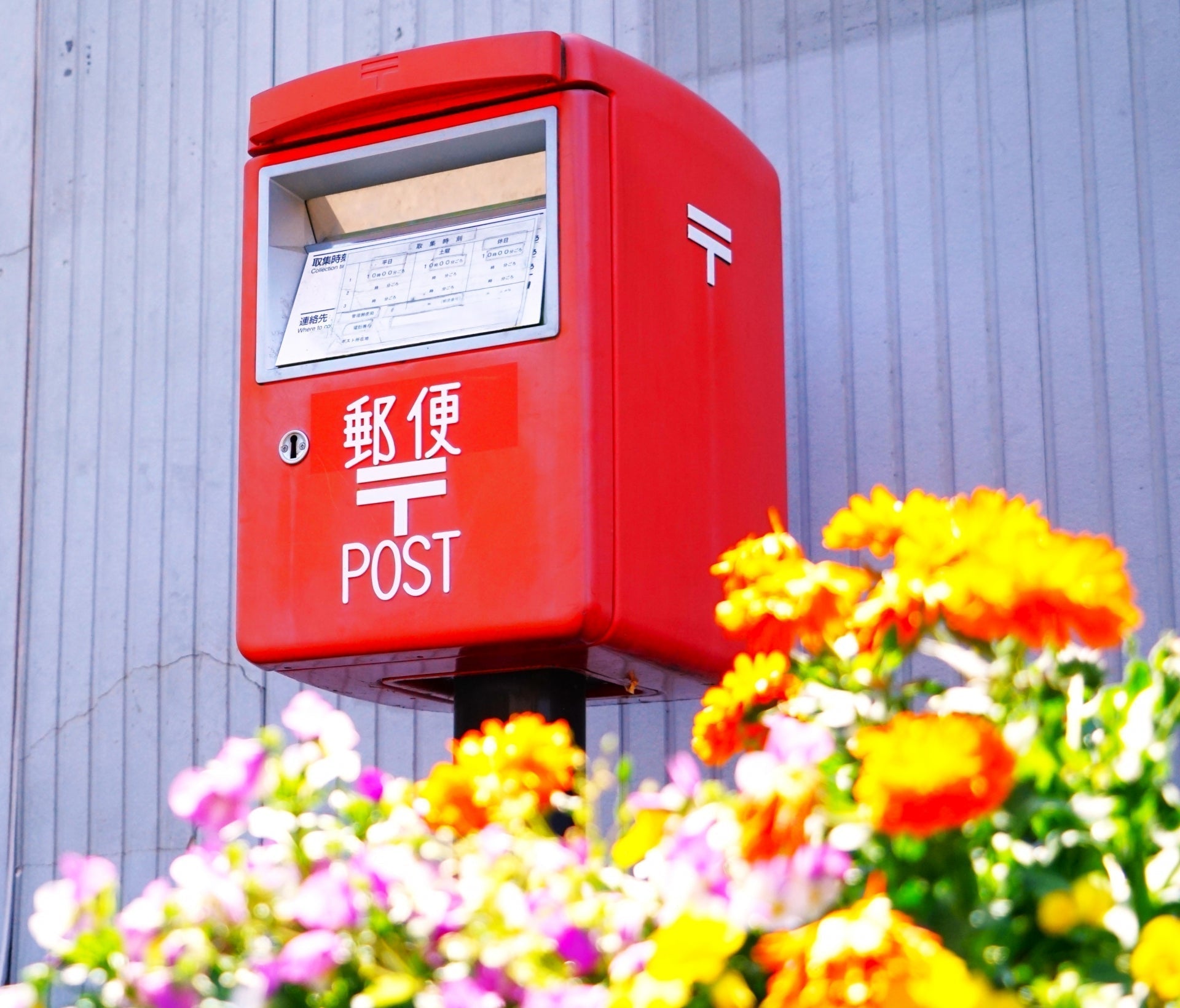 イベントや案内のDMハガキは発送するタイミングはいつがベスト？